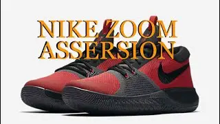 NIKE ZOOM ASSERSION | Первые впечатления, обзор характеристик