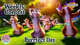 Purrfect Day 🐱 Sunshine, Play & Happy Purrs 🌞 (Official Music Video | Fluffy Paws Competition)