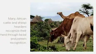 Ancient African Contributions in Math, Science and Technology