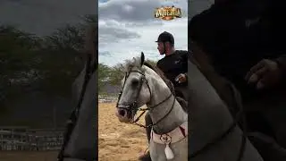 Brocoio Junior montando Taffarel Master GAV | Campeonato Brasileiro de Vaquejada PEPB