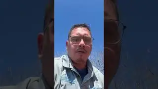Why You NEED a Roof Inspection Twice a Year | Free Hail Damage Check!#roofingshingles #roofservices