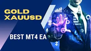 I Tested This  Algo Ea And The Profits Are Insane #broker #btc #ea