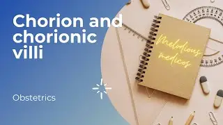 Chorion and chorionic villi in hindi | Chorionic villi easily explained