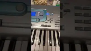Casio WK-3000