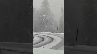 Driving in the snow in Yosemite today #nature #mothernature #snow #yosemite #natureconnection