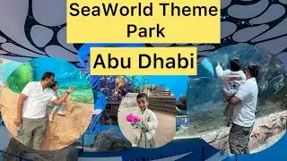 SEA WORLD THEME PARK |ABU DHABI | DOLPHIN SHOW 🐬  #seaworldabudhabi #abudhabi 