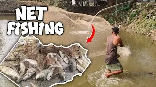 Exploring a Traditional Fishing Village &ndash; Net Fishing & Daily Life! ( Day1) #usafishing
