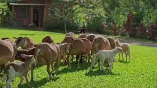 Descubre un tesoro escondido en Rep&uacute;blica Dominicana