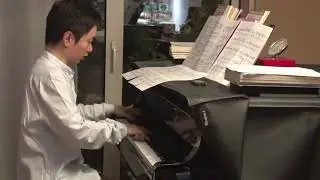 Wenyu Shen Arr. plays Star Wars The Imperial March Dark Version