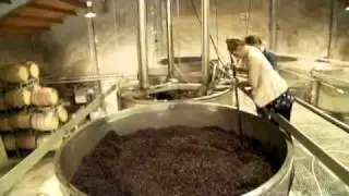 Nautilus Estate Harvest Programme