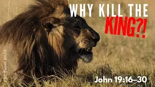 Why Kill the King? (pt4) | Sovereign Security | John 19:25-30
