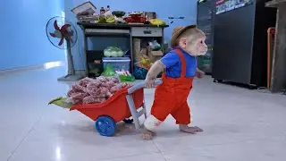 30 Days - Molly the monkey helps her mom go grocery shopping for meat and vegetables.