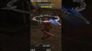 Майбутній Артізан робить телепорт. Зручно коли є глобальний ГК. Lineage 2 High Five.
