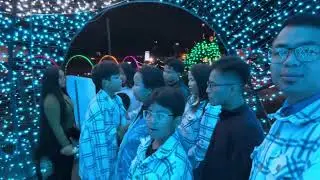 Рождественские украшения. Батон-Руж, Луизиана.