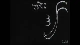 Oskar Fischinger, Studie nr 5 (excerpt)