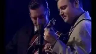 It's Just The Night