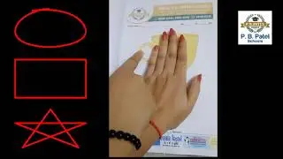 Patterns Writing | Curve Line | Play and Study For Kids | Different Lines Activity