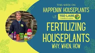 Happenin' Houseplants | Fertilizing Houseplants - Why, When, How