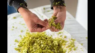 Mill 95 - Idaho Hops Processor - Fresh Hops Means Great Tasting Beer