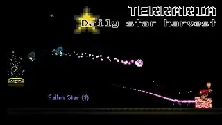 Terraria - Daily Star Harvest