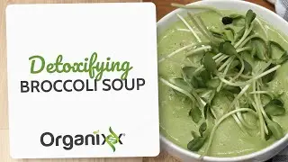 Detoxifying Broccoli Soup Recipe | Organixx Recipe