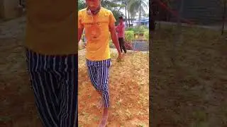 pearl grass plantation👈 just look now 2023 flower world garden