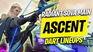 Лучшие #25 основных составов NA Radiant Sova | Восхождение