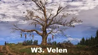Witcher 3. Velen. (Mods + Sign build) [Death March]