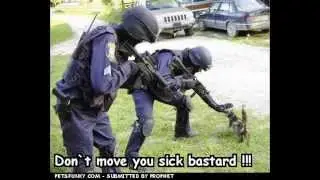 Funny Pics2