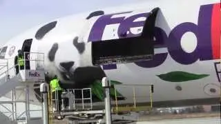 Giant Pandas arrive at Toronto Pearson