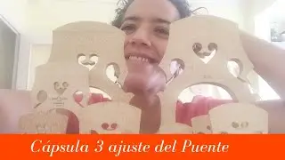 Ajuste de Puente en instrumentos de la familia del violín.