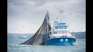 #Brexit Fishing Industry 
