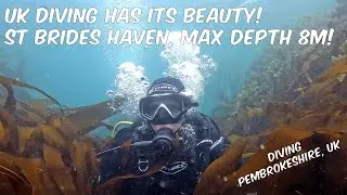 Diving Pembrokeshire, UK - The UK Coasts Definitely Has it's Beauty! St Brides Haven Shore Dive!