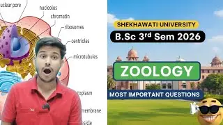 Shekhawati university Bsc 3rd semester Zoology important Questions 2026 | Vk online paper