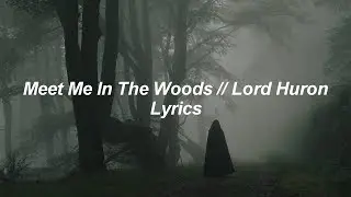 Meet Me In The Woods // Lord Huron // Lyrics