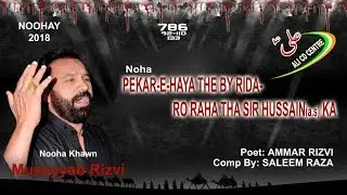Musayyab Rizvi 2019 | Nohay 2018-19 | Paikar E Haya | 1440 Hijri