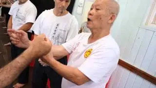 Chow Gar Tong Long Australia - Grand Master Ng Si Kay - 2016 Workshops