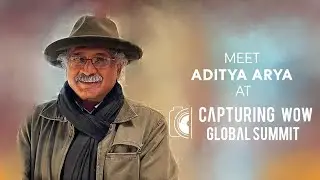 Meet Aditya Arya Sharing Glimpse at Capturing WOW Global Summit 2020
