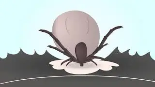 Verwijderen van een teek bij kat - animatie