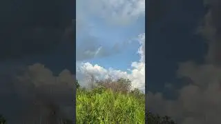 aksi perampasan hari ini #layangan #layanganbali