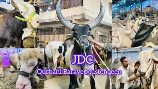 JDC Foundation Qurbani 2024 || Bakra Eid kay Heavy Janwar 2024 || Qurbani For Poor || Bakra Eid 2024