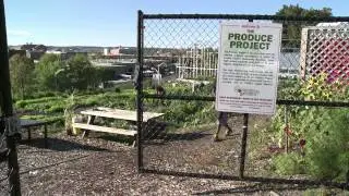 Introduction to Capital District Community Gardens