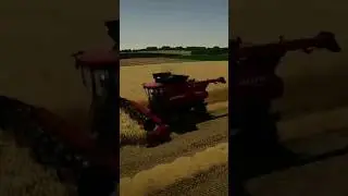 time to harvest /harvesting wheat fs22 ita ps5 #fs22video #ps5ita #foryou #viralvideo #viral