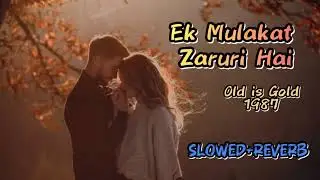 Ek_Mulakat_Jaruri_Hai_Sanam (Slowed & Reverb) Evergreen / Old Is Gold 1987 / New Version 