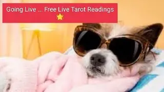 Soul Tribe Tarot  is live !!
