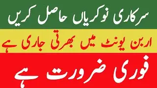 Government jobs 2025/The urban unit jobs 2025