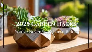 Succulent Garden Hacks for 2025 That Are So Genius, You&rsquo;ll Be the Envy of Every Plant Lover!