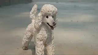 The dog pack. Part 1 An original Schleich dog film