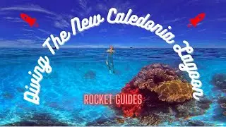 Dive the New Caledonia Lagoon