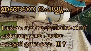 why swarming happened | simply catch honeybee colony | ഇങ്ങനെ ചെയ്യു തേനീച്ച കോളനി ഇരട്ടി ആക്കാം